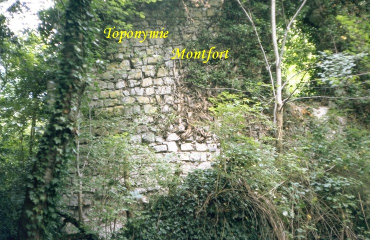 Château de Montfort - Courtine 2